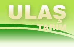Ula� Tar�m peyzaj